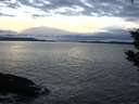 ./images/koeye/fitz-hugh/20200106/fitz-hugh20200106_161501.jpg