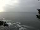 ./images/koeye/fitz-hugh/20200108/fitz-hugh20200108_140501.jpg