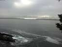 ./images/koeye/fitz-hugh/20200108/fitz-hugh20200108_144001.jpg