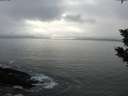 ./images/koeye/fitz-hugh/20200108/fitz-hugh20200108_145501.jpg
