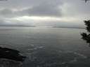 ./images/koeye/fitz-hugh/20200108/fitz-hugh20200108_150002.jpg