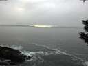 ./images/koeye/fitz-hugh/20200108/fitz-hugh20200108_154001.jpg