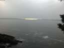 ./images/koeye/fitz-hugh/20200108/fitz-hugh20200108_154502.jpg