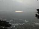 ./images/koeye/fitz-hugh/20200108/fitz-hugh20200108_155002.jpg