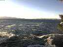 ./images/koeye/fitz-hugh/20200112/fitz-hugh20200112_124526.jpg