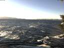 ./images/koeye/fitz-hugh/20200112/fitz-hugh20200112_125001.jpg
