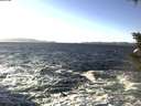 ./images/koeye/fitz-hugh/20200112/fitz-hugh20200112_134002.jpg