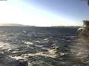 ./images/koeye/fitz-hugh/20200112/fitz-hugh20200112_134502.jpg