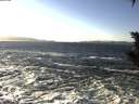 ./images/koeye/fitz-hugh/20200112/fitz-hugh20200112_142001.jpg