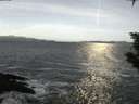 ./images/koeye/fitz-hugh/20200113/fitz-hugh20200113_075001.jpg