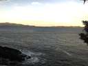 ./images/koeye/fitz-hugh/20200113/fitz-hugh20200113_090502.jpg