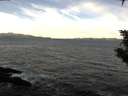 ./images/koeye/fitz-hugh/20200113/fitz-hugh20200113_102501.jpg