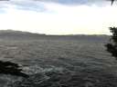 ./images/koeye/fitz-hugh/20200113/fitz-hugh20200113_104501.jpg