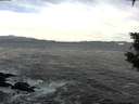 ./images/koeye/fitz-hugh/20200113/fitz-hugh20200113_105001.jpg