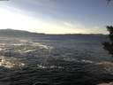 ./images/koeye/fitz-hugh/20200113/fitz-hugh20200113_131501.jpg