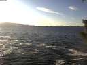 ./images/koeye/fitz-hugh/20200113/fitz-hugh20200113_145502.jpg