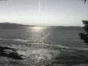 ./images/koeye/fitz-hugh/20200114/fitz-hugh20200114_074501.jpg