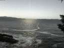 ./images/koeye/fitz-hugh/20200114/fitz-hugh20200114_075001.jpg