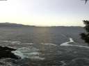 ./images/koeye/fitz-hugh/20200114/fitz-hugh20200114_080001.jpg
