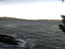 ./images/koeye/fitz-hugh/20200114/fitz-hugh20200114_091502.jpg