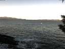 ./images/koeye/fitz-hugh/20200114/fitz-hugh20200114_094002.jpg