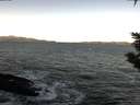 ./images/koeye/fitz-hugh/20200114/fitz-hugh20200114_095002.jpg
