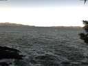 ./images/koeye/fitz-hugh/20200114/fitz-hugh20200114_095502.jpg