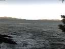 ./images/koeye/fitz-hugh/20200114/fitz-hugh20200114_100002.jpg