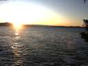 ./images/koeye/fitz-hugh/20200114/fitz-hugh20200114_163501.jpg