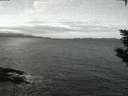 ./images/koeye/fitz-hugh/20200115/fitz-hugh20200115_074501.jpg