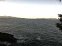 ./images/koeye/fitz-hugh/20200115/fitz-hugh20200115_104501.jpg