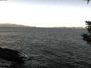 ./images/koeye/fitz-hugh/20200115/fitz-hugh20200115_105501.jpg