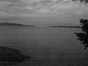 ./images/koeye/fitz-hugh/20200819/fitz-hugh20200819_054002.jpg