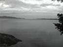./images/koeye/fitz-hugh/20200819/fitz-hugh20200819_054502.jpg