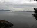 ./images/koeye/fitz-hugh/20200819/fitz-hugh20200819_065501.jpg