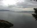 ./images/koeye/fitz-hugh/20200819/fitz-hugh20200819_070501.jpg