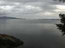 ./images/koeye/fitz-hugh/20200819/fitz-hugh20200819_071501.jpg