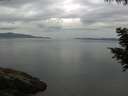 ./images/koeye/fitz-hugh/20200819/fitz-hugh20200819_072501.jpg