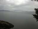 ./images/koeye/fitz-hugh/20200819/fitz-hugh20200819_075501.jpg
