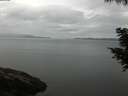 ./images/koeye/fitz-hugh/20200819/fitz-hugh20200819_081501.jpg
