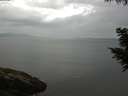 ./images/koeye/fitz-hugh/20200819/fitz-hugh20200819_082002.jpg