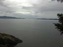 ./images/koeye/fitz-hugh/20200819/fitz-hugh20200819_094001.jpg