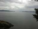 ./images/koeye/fitz-hugh/20200819/fitz-hugh20200819_094501.jpg
