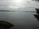 ./images/koeye/fitz-hugh/20200819/fitz-hugh20200819_095001.jpg