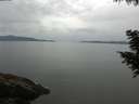 ./images/koeye/fitz-hugh/20200819/fitz-hugh20200819_095501.jpg