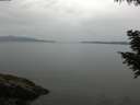 ./images/koeye/fitz-hugh/20200819/fitz-hugh20200819_100501.jpg
