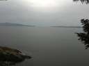 ./images/koeye/fitz-hugh/20200819/fitz-hugh20200819_101501.jpg