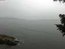 ./images/koeye/fitz-hugh/20200819/fitz-hugh20200819_104501.jpg