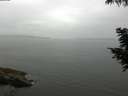 ./images/koeye/fitz-hugh/20200819/fitz-hugh20200819_111501.jpg