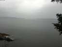 ./images/koeye/fitz-hugh/20200819/fitz-hugh20200819_114502.jpg